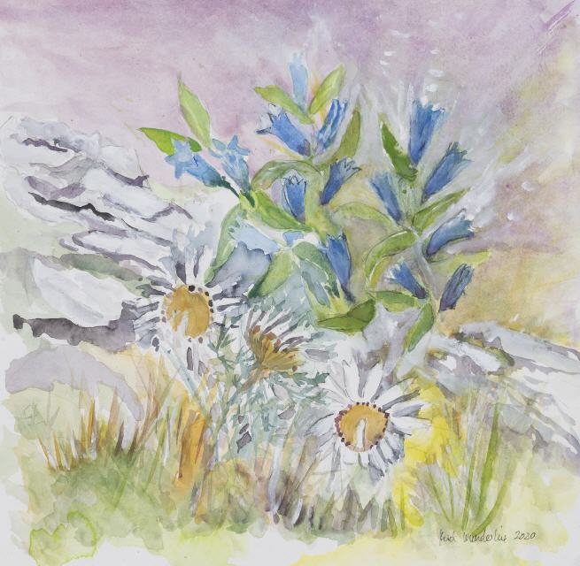 Schwalbenwurzenzian und Silberdistel
