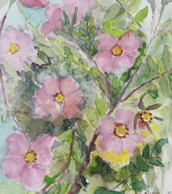 Heckenrose 50x40