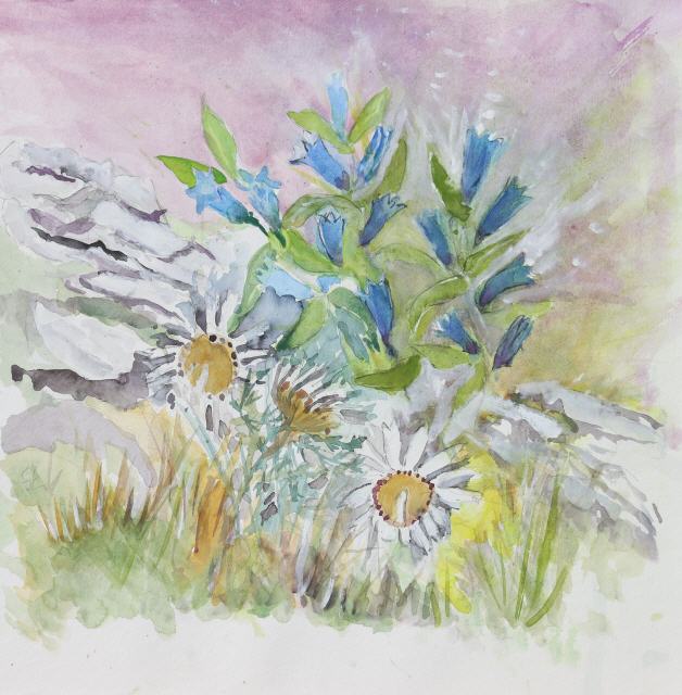 Schwalbenwurzenzian 40x40