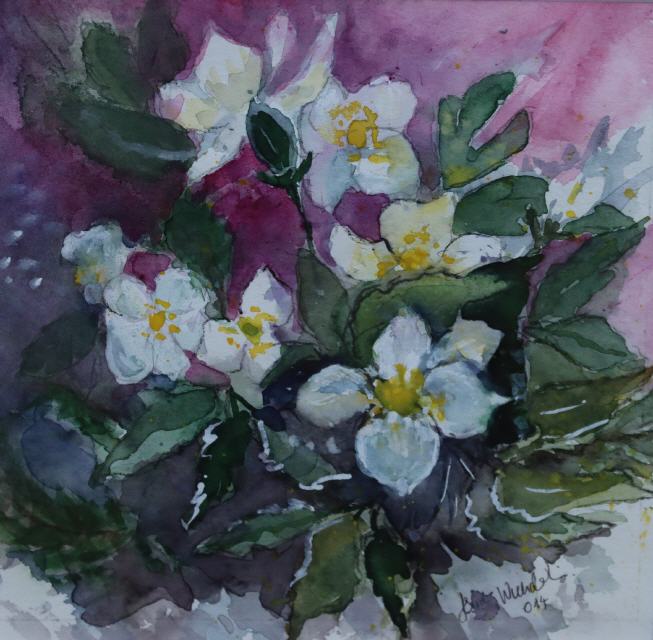 Christrose 30x30